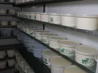 ماست بندی